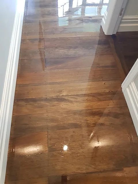 Older dark timber floor with the first coat still wet, the grain and past wear showing through