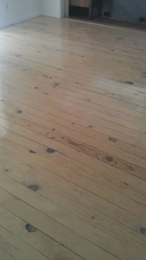 Pale timber floor after coating, the boards evenly finished with a soft sheen