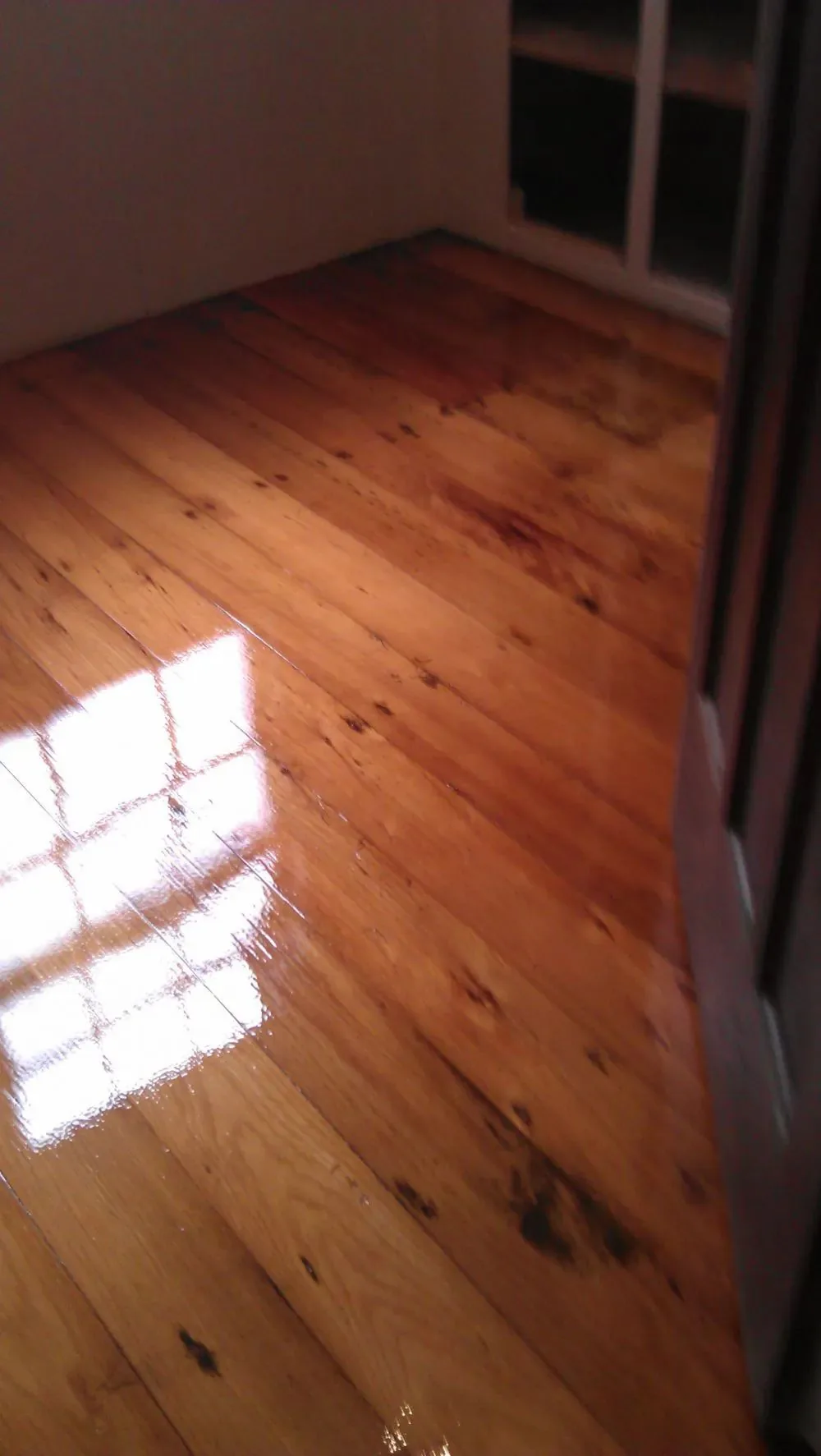 Coated rimu floor with sunlight falling across it through a window, the grain showing warm under the gloss