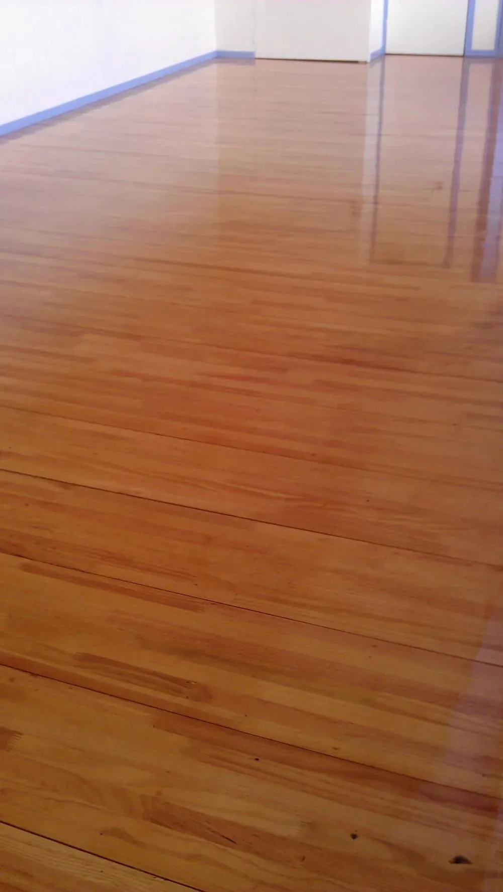 Freshly coated warm timber floor in an empty room with blue masking tape still along the skirting